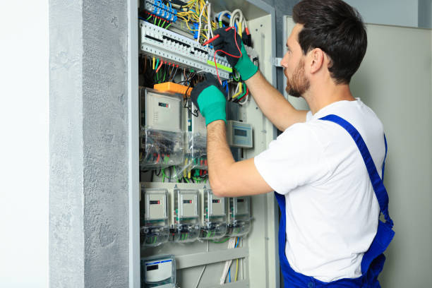 Best Electrical Troubleshooting Services  in West Bishop, CA